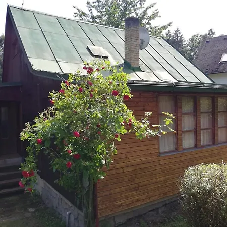 Apartman Zatoka Zivohost - *
